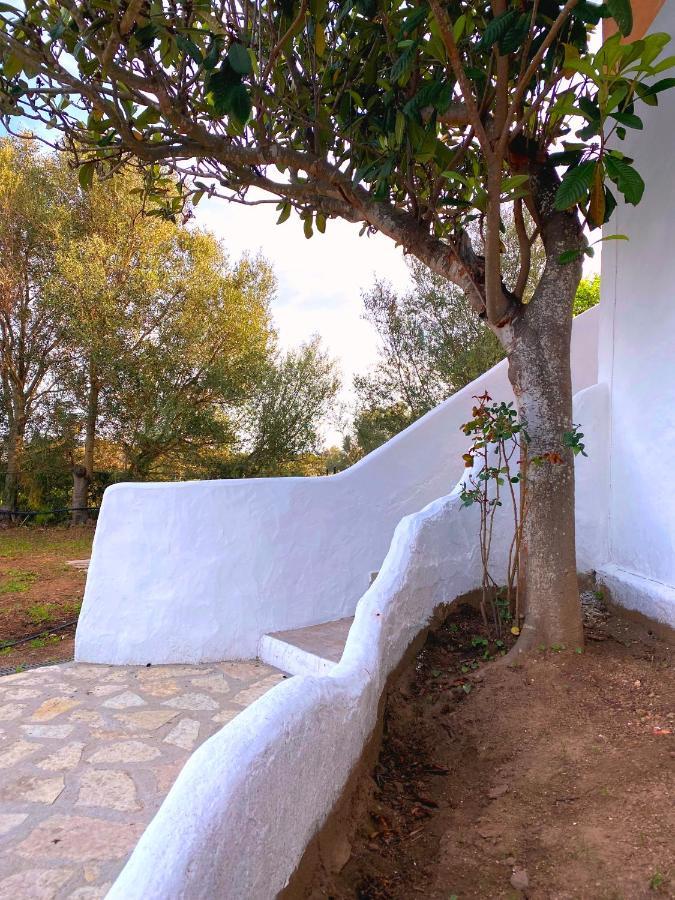 Casa Vacanza Porta Smeralda Olbia Eksteriør billede