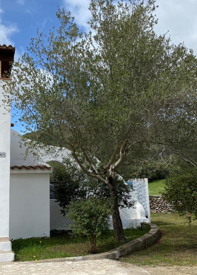 Casa Vacanza Porta Smeralda Olbia Eksteriør billede