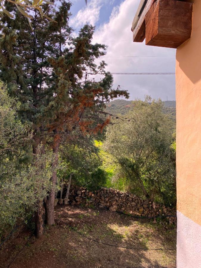 Casa Vacanza Porta Smeralda Olbia Eksteriør billede