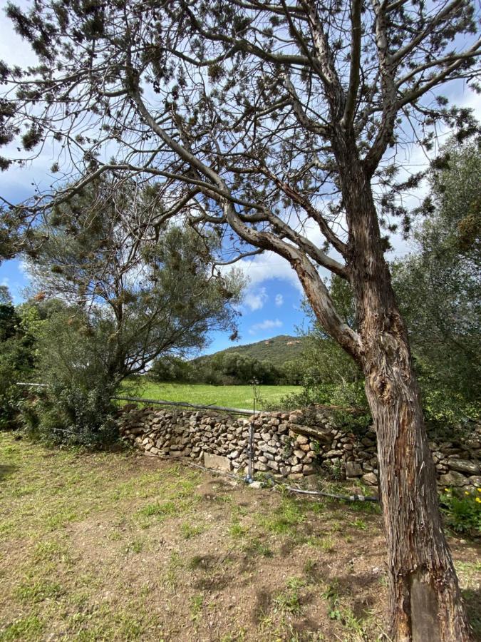 Casa Vacanza Porta Smeralda Olbia Eksteriør billede