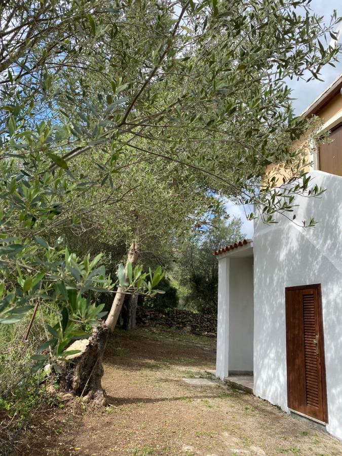 Casa Vacanza Porta Smeralda Olbia Eksteriør billede