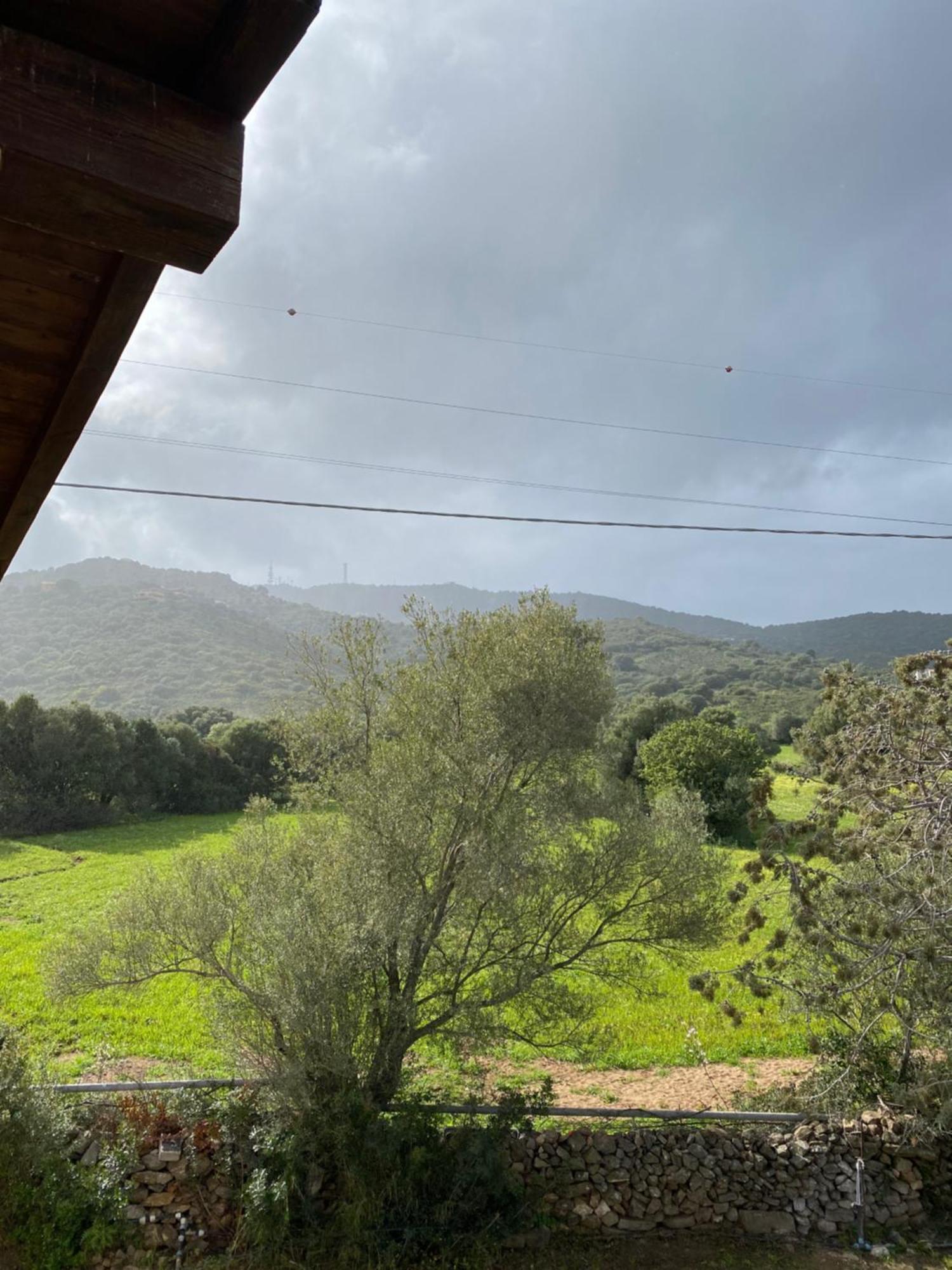Casa Vacanza Porta Smeralda Olbia Eksteriør billede