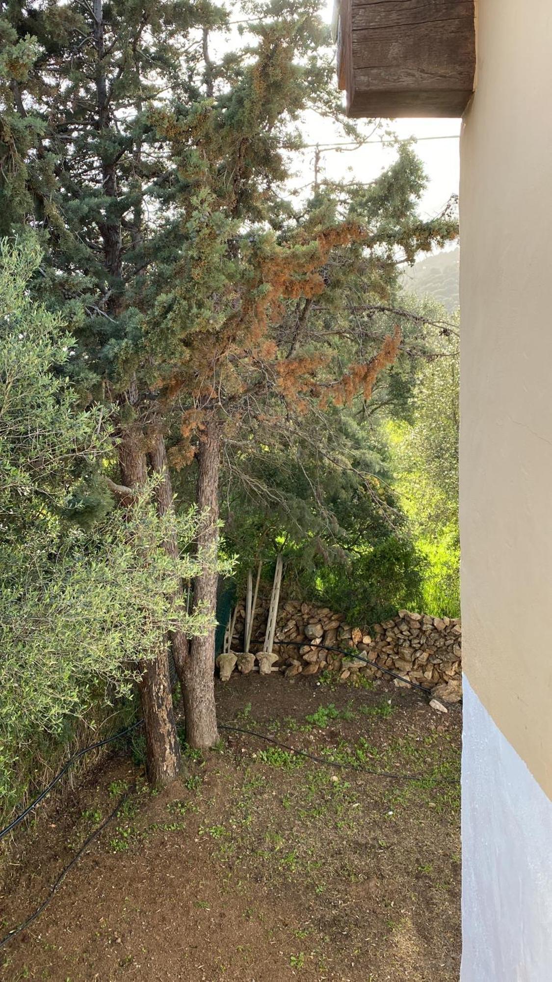 Casa Vacanza Porta Smeralda Olbia Eksteriør billede