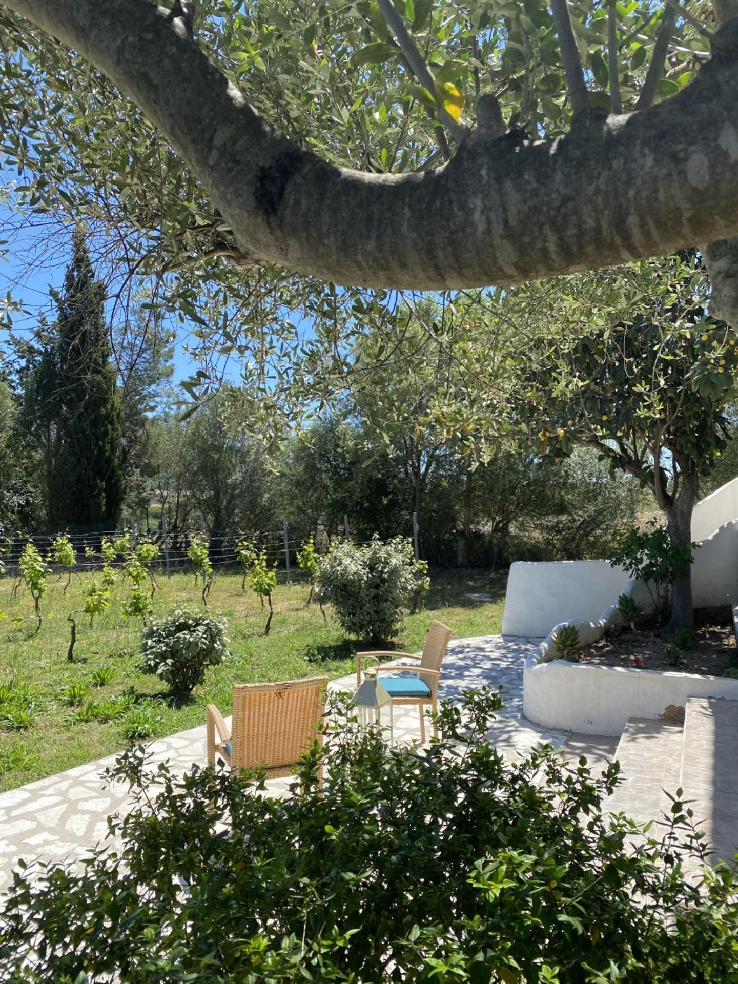 Casa Vacanza Porta Smeralda Olbia Eksteriør billede